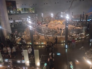 福井県立恐竜博物館に投稿された画像（2025/8/2）