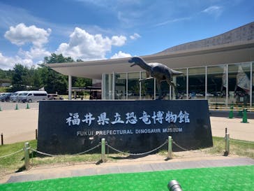 福井県立恐竜博物館に投稿された画像（2025/8/3）
