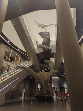 福井県立恐竜博物館に投稿された画像（2025/8/3）