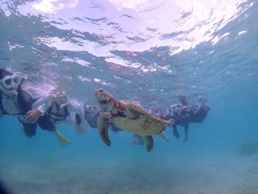 ちゃこたびに投稿された画像（2025/8/3）