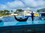 越前松島水族館に投稿された画像（2025/8/3）