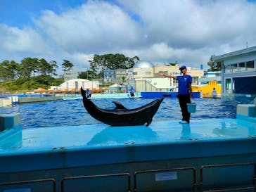 越前松島水族館に投稿された画像（2025/8/3）