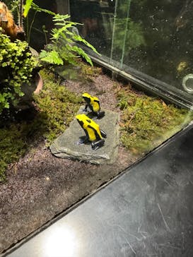 サンシャイン水族館に投稿された画像（2025/8/3）