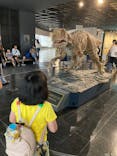 福井県立恐竜博物館に投稿された画像（2025/8/3）