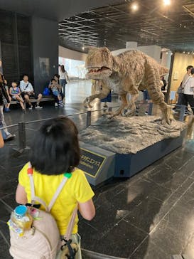福井県立恐竜博物館に投稿された画像（2025/8/3）