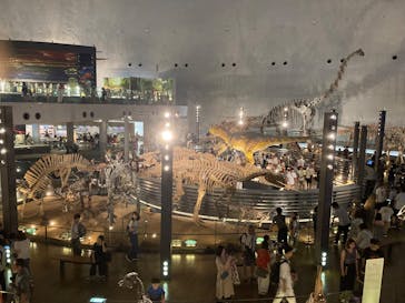 福井県立恐竜博物館に投稿された画像（2025/8/3）