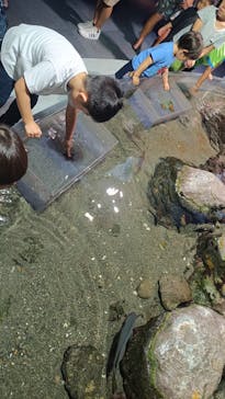 横浜・八景島シーパラダイス　プレジャーランドに投稿された画像（2025/8/3）