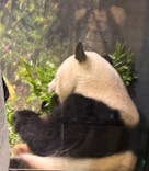 恩賜上野動物園に投稿された画像（2025/8/3）