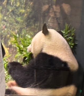 恩賜上野動物園に投稿された画像（2025/8/3）