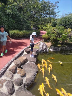 土肥金山に投稿された画像（2025/8/3）