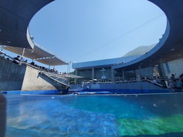 大分マリーンパレス水族館 「うみたまご」に投稿された画像（2025/8/3）