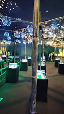 南知多ビーチランド＆南知多おもちゃ王国に投稿された画像（2025/8/3）