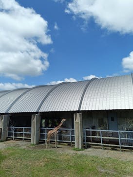 霞ケ浦 どうぶつとみんなのいえに投稿された画像（2025/8/3）