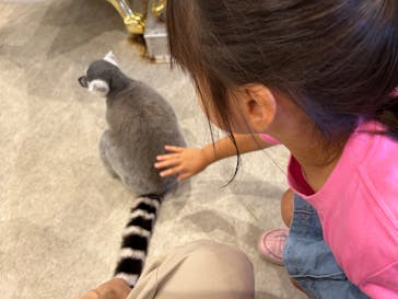 アニタッチみなとみらいに投稿された画像（2025/8/3）