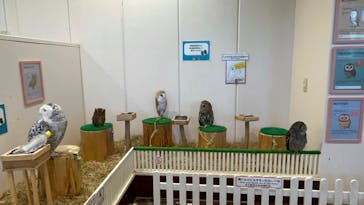 アニタッチみなとみらいに投稿された画像（2025/8/3）