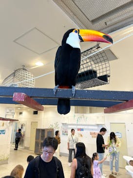 アニタッチみなとみらいに投稿された画像（2025/8/3）