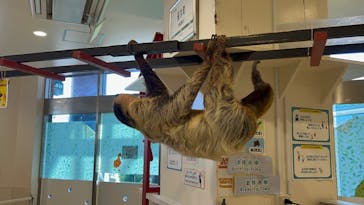 アニタッチみなとみらいに投稿された画像（2025/8/3）