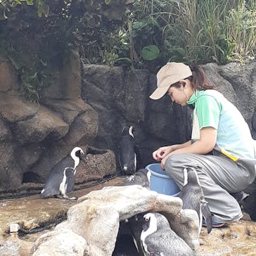 サンシャイン水族館に投稿された画像（2025/8/3）