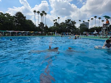 久宝寺緑地プールに投稿された画像（2025/8/3）