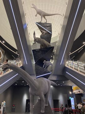 福井県立恐竜博物館に投稿された画像（2025/8/3）