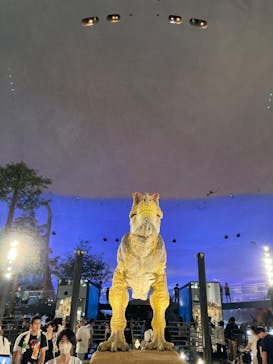 福井県立恐竜博物館に投稿された画像（2025/8/3）