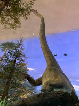 福井県立恐竜博物館に投稿された画像（2025/8/3）