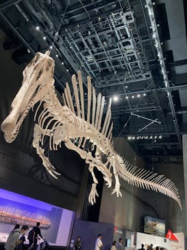 福井県立恐竜博物館に投稿された画像（2025/8/3）