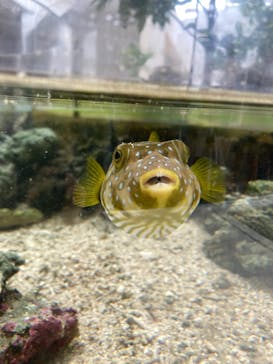 名古屋港水族館に投稿された画像（2025/8/3）