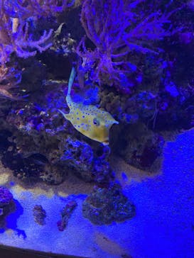 名古屋港水族館に投稿された画像（2025/8/3）