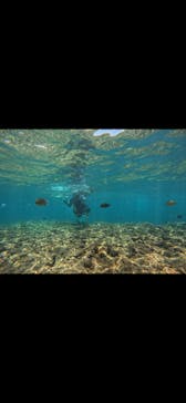 武藤潜水に投稿された画像（2025/8/3）