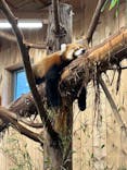 伊豆シャボテン動物公園に投稿された画像（2025/8/3）