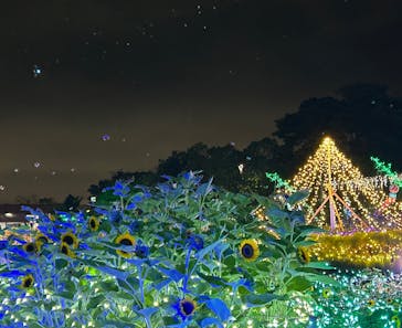 せんだい農業園芸センター　みどりの杜に投稿された画像（2025/8/3）