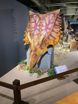 大恐竜展に投稿された画像（2025/8/3）