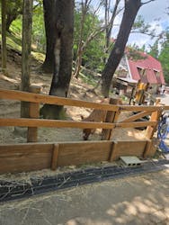 神戸市立六甲山牧場に投稿された画像（2025/8/3）