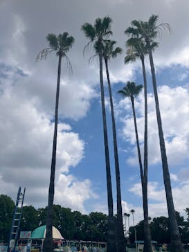 久宝寺緑地プールに投稿された画像（2025/8/3）