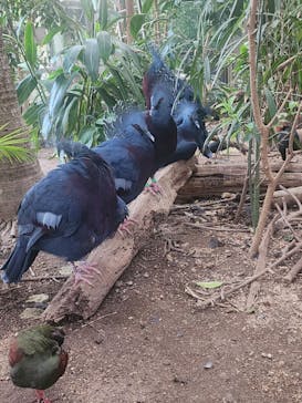 神戸どうぶつ王国×有馬街道温泉すずらんの湯に投稿された画像（2025/8/3）