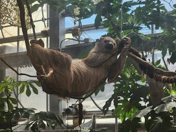 神戸どうぶつ王国×有馬街道温泉すずらんの湯に投稿された画像（2025/8/3）