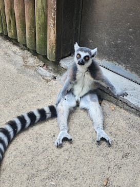 神戸どうぶつ王国×有馬街道温泉すずらんの湯に投稿された画像（2025/8/3）