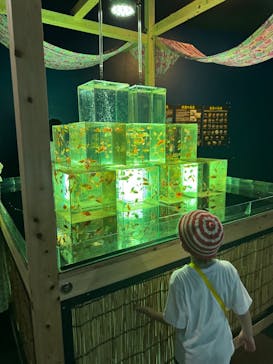 南知多ビーチランド＆南知多おもちゃ王国に投稿された画像（2025/8/3）