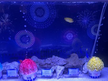 マクセル アクアパーク品川に投稿された画像（2025/8/3）