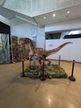 氷見 大恐竜博 @氷見市芸術文化館に投稿された画像（2025/8/3）