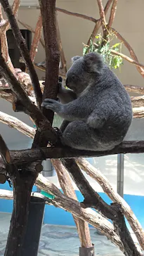 多摩動物公園に投稿された画像（2025/8/3）
