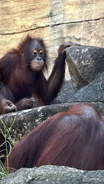 多摩動物公園に投稿された画像（2025/8/3）