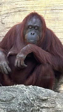 多摩動物公園に投稿された画像（2025/8/3）