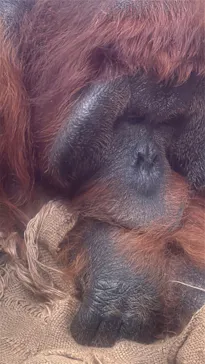 多摩動物公園に投稿された画像（2025/8/3）