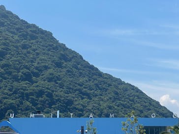 大分マリーンパレス水族館 「うみたまご」に投稿された画像（2025/8/3）