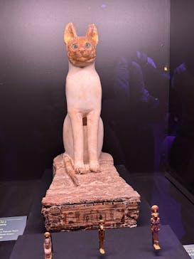 ACN ラムセス大王展 ファラオたちの黄金に投稿された画像（2025/8/3）