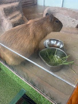 新江ノ島水族館に投稿された画像（2025/8/3）