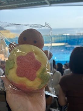新江ノ島水族館に投稿された画像（2025/8/3）