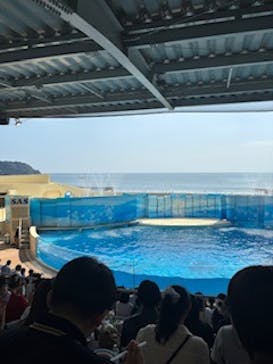 新江ノ島水族館に投稿された画像（2025/8/3）